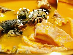 -Darling Queen·Mini·Live·House