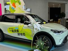 -上海浦东smart汽车全功能店(金桥店)