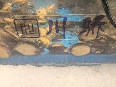 -川骄海鲜自助(亚运村店)