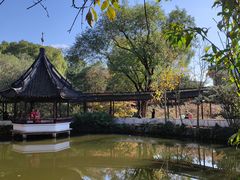 -上海醉白池公园