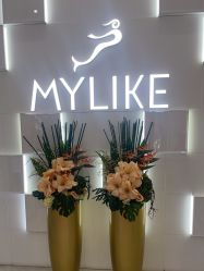 -深圳美莱医疗美容医院