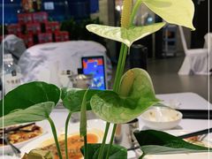 -眉州东坡(华联万柳店)