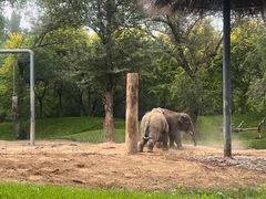 -北京野生动物园