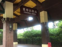 -东部华侨城