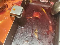 -海底捞火锅(金地广场生日主题店)
