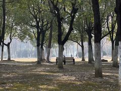 -天鹅湖体育公园