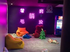 -VS SPORTS PARK运动玩乐园·团建·生日会(合生汇店)
