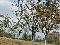 -府河摄影公园