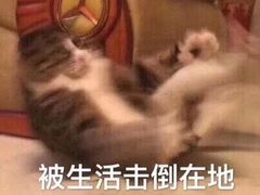 -琼菜王(南海店)