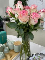 -SOR索尔祛痘·面部肌肤管理