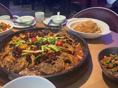 -老板恋上鱼(高新万达店)