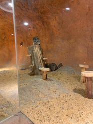 -酷嗒动物文化乐园(cutezoo西溪乐天城店)