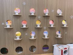 -COLOR PETS 撸猫馆·购猫·猫咖(长风大悦城店)