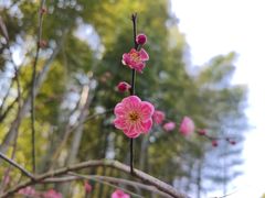 -径山寺