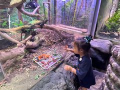 -正佳雨林生态植物园