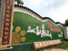 -成都爱之家动物救助中心