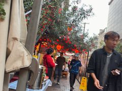-福苗小骆驼烧烤(莲湖路店)
