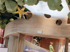 -水桶王国主题餐厅·聚会·生日派对·亲子活动·家庭套餐(亚龙湾希尔顿店)