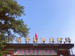 -大连果菜批发市场