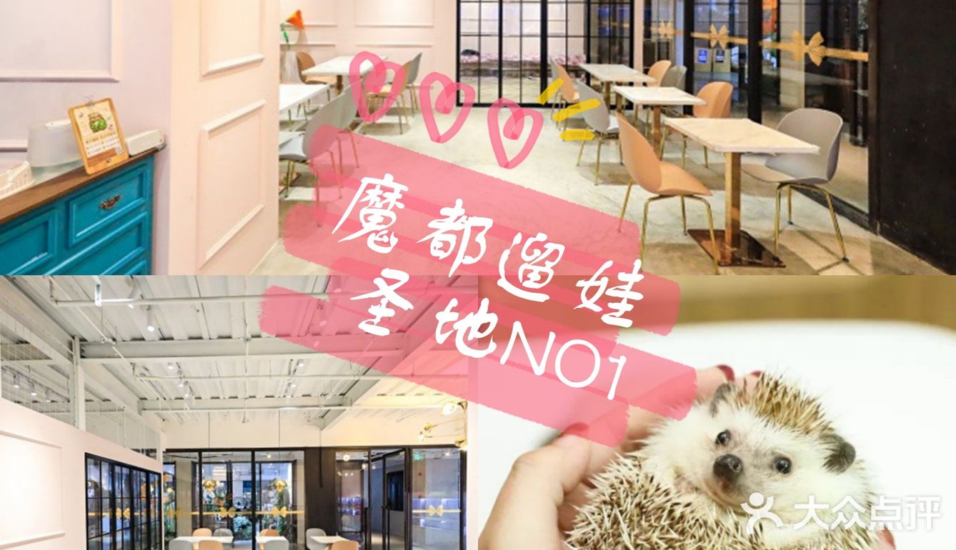 魔都遛娃圣地‖来和萌宠亲密的约个会吧！