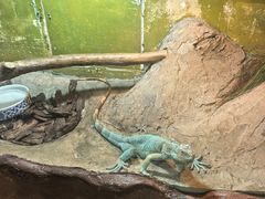 -上海昆虫博物馆