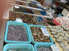 -大湾区中央湿地公园-十九涌