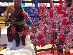 -万达影城(安吉万达广场IMAX店)