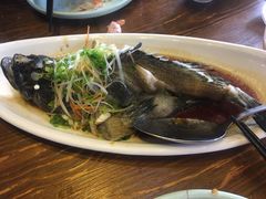 清蒸石斑鱼-南海渔家•海鲜•正宗海南菜(海棠湾店)