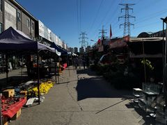 -中环花鸟鱼虫市场