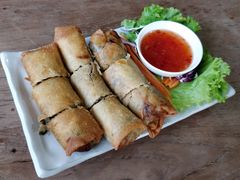 炸春卷-Kat's Kitchen