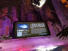 -泉城欧乐堡海洋极地世界