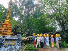 -瑞丽独树成林风景区