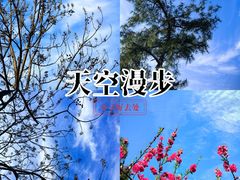 -金鸡山公园