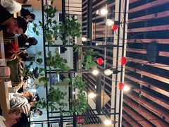 -三猫黑鱼花(南大店)