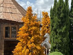 -Blue Concept Cafe&Farm·關於藍