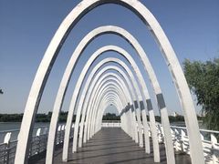 -大兴滨河森林公园