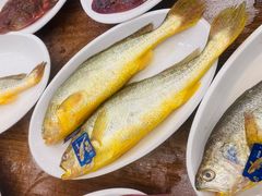 -渔家小院(翠亨广场店)