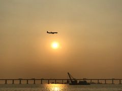 -宝安西湾红树林湿地公园