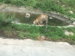 -西安秦岭野生动物园
