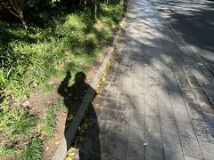 -九曜山