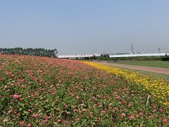 -迪茵湖田家舍生态农场