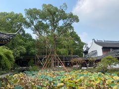 -上海醉白池公园