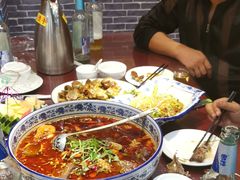 -邵年鸽(杨庄店)