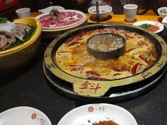 -一斗火锅·招财羊毛肚(北温泉九号店)