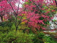 -乌山风景区