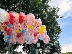 -上海迪士尼度假区