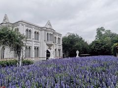 -玫瑰海岸文化旅游度假区