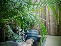 2011_11_27_12_13_59-旅马餐厅(茅家埠店)