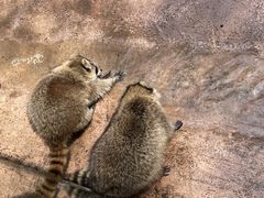 -杭州野生动物世界