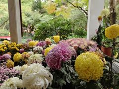 -杭州植物园